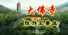 大鸡巴操刘淘中国浙江-新昌大佛寺旅游风景区